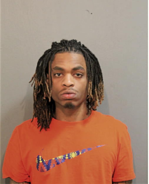 LASHAWN M JONES, Cook County, Illinois