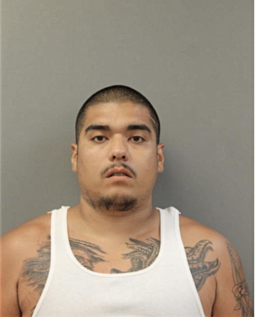 MANUEL JUAREZ, Cook County, Illinois