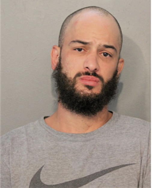 TREVOR T KING, Cook County, Illinois