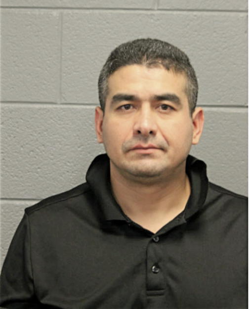 RICHARD J MAGANA, Cook County, Illinois