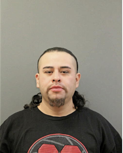 YOAN MANDUJANO, Cook County, Illinois