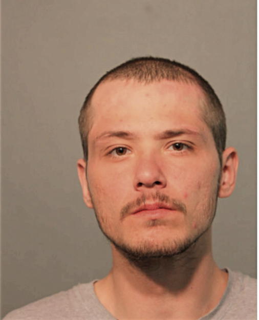 TERRY MIKKELSON, Cook County, Illinois