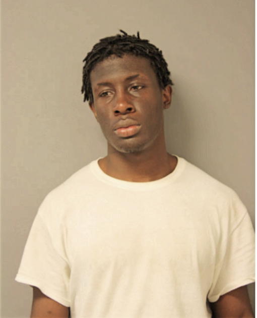 TYRELL L NEWTON, Cook County, Illinois