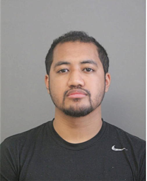 GUY Y PESNAUX, Cook County, Illinois