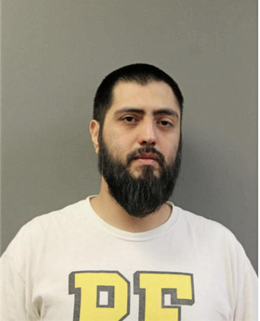 CARLOS RIVERA, Cook County, Illinois