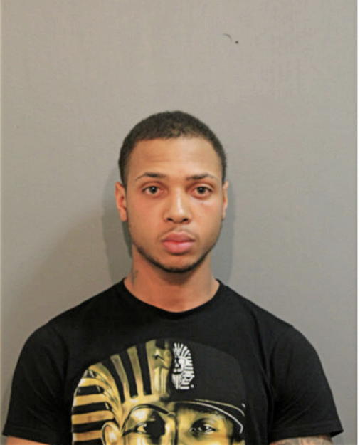 JOSEPH A ROBINSON, Cook County, Illinois
