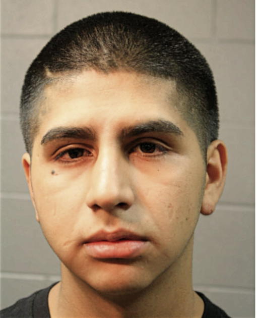 CANDIDO SALINAS, Cook County, Illinois