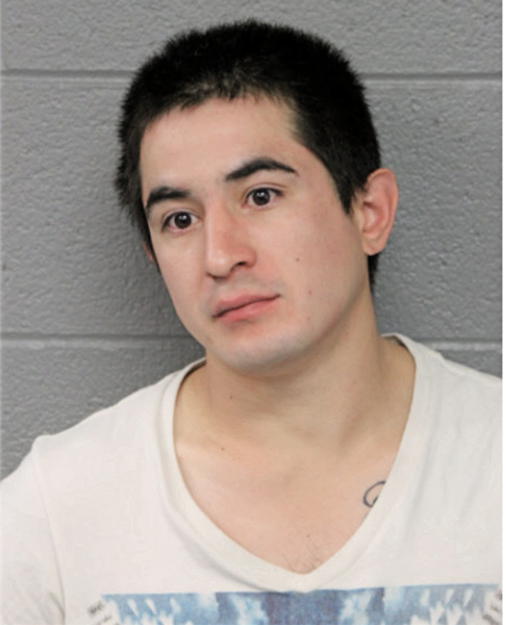 JUAN C SANCHEZ, Cook County, Illinois
