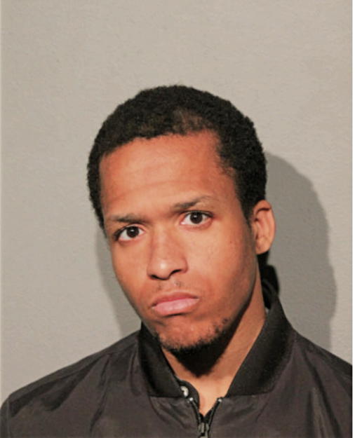 BRIAN V SEARLES, Cook County, Illinois
