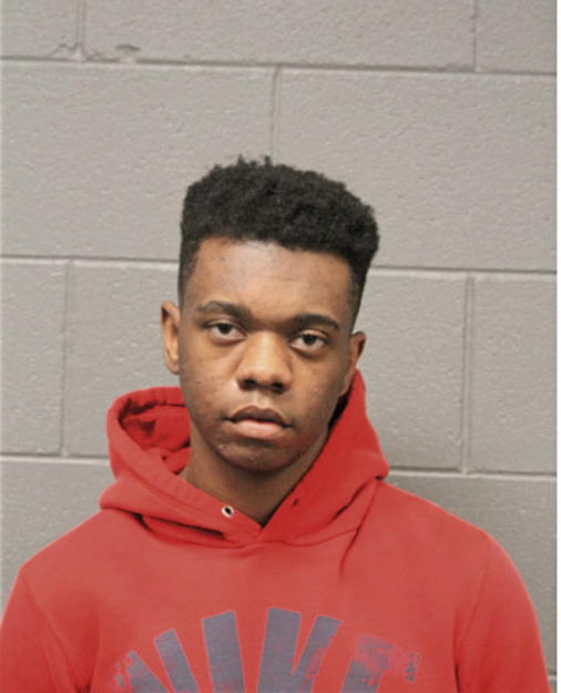 STEVEN J STEVENSON, Cook County, Illinois