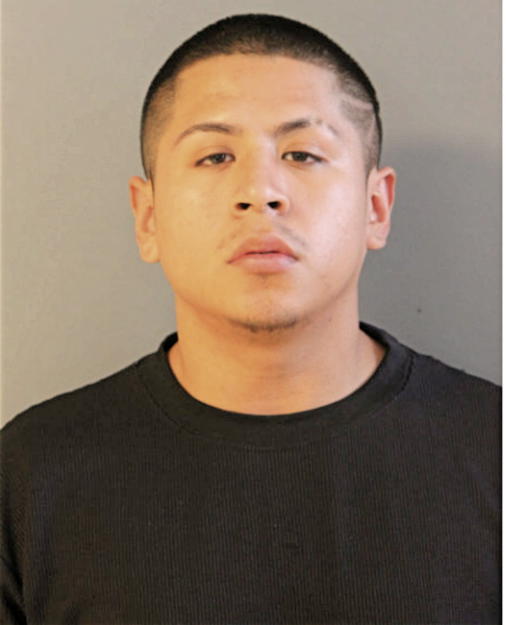 JAVIER J TILAPA, Cook County, Illinois