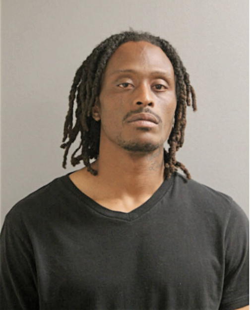 ROBERT E TOWNES, Cook County, Illinois