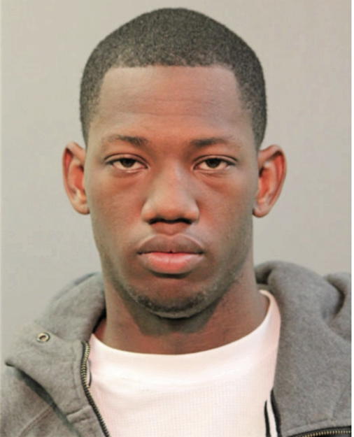 AARON D YOUNG, Cook County, Illinois
