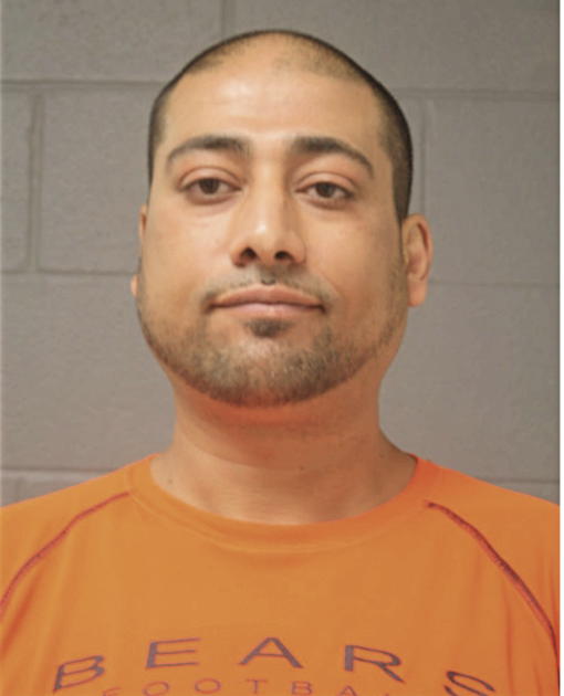 ABEDL M ZAYYAD, Cook County, Illinois