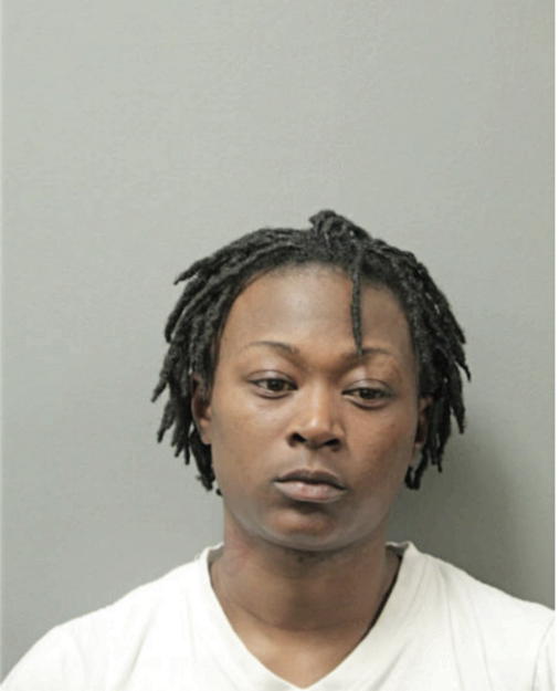 ASHLEY A ANDERSON, Cook County, Illinois