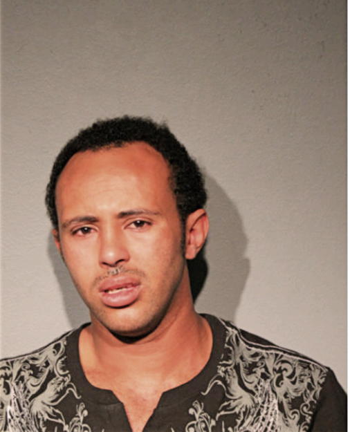 ADANE MUCHE ANELAY, Cook County, Illinois