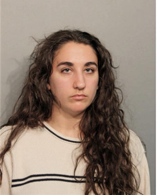 NOELLE V AWADALLAH, Cook County, Illinois