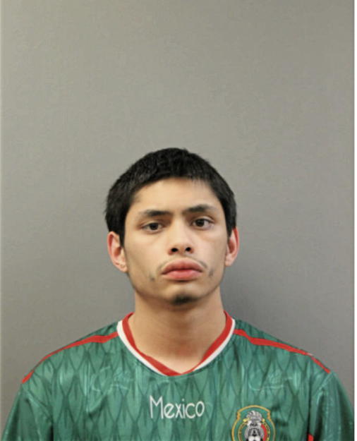 MIGUEL A BAILON, Cook County, Illinois