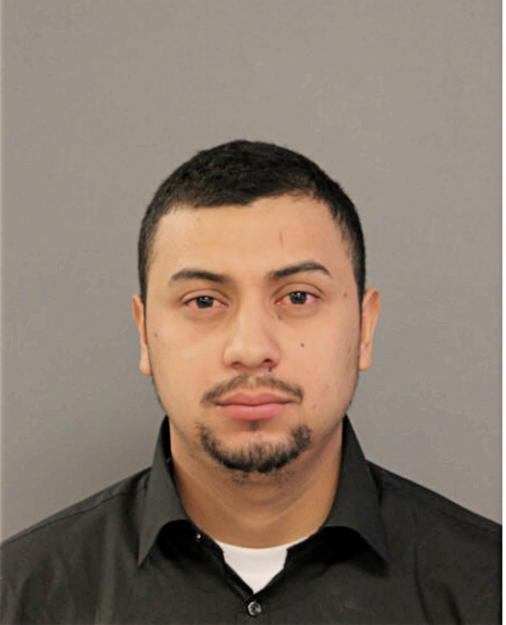 ALEX E DIAZ, Cook County, Illinois