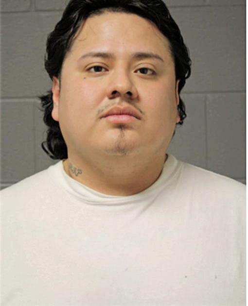 JEAN P GARCIA, Cook County, Illinois