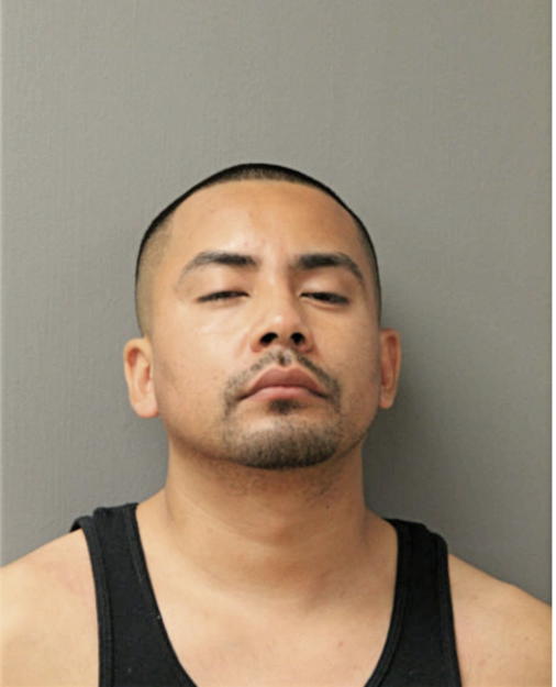 JUAN A GARCIA, Cook County, Illinois