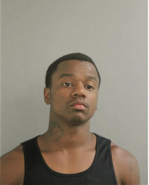 DEVIN T GARRETT, Cook County, Illinois