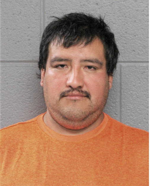 RICARDO GONZALEZ, Cook County, Illinois