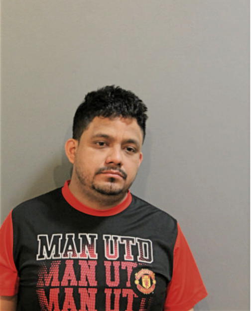 VICTOR M GONZALEZ, Cook County, Illinois