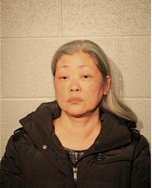 VICKY HSU, Cook County, Illinois