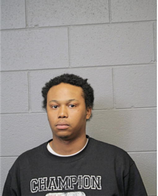 FREDDIE E HUDDLESTON, Cook County, Illinois