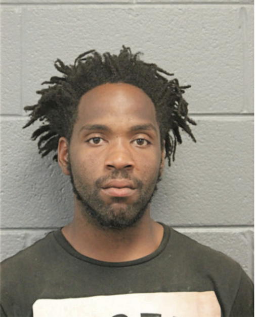 BRYANT L JOHNSON, Cook County, Illinois