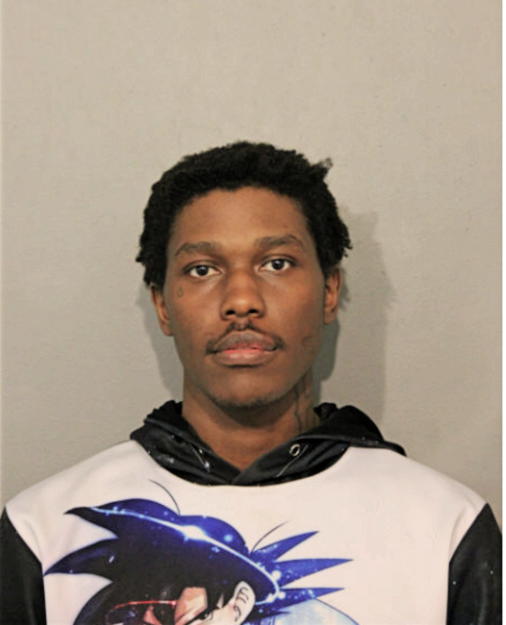 ROBIN M LINZY, Cook County, Illinois