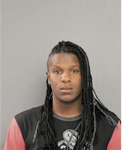 JAMES D LOWERY, Cook County, Illinois