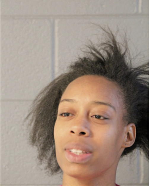 BRIELLE J LYLES, Cook County, Illinois