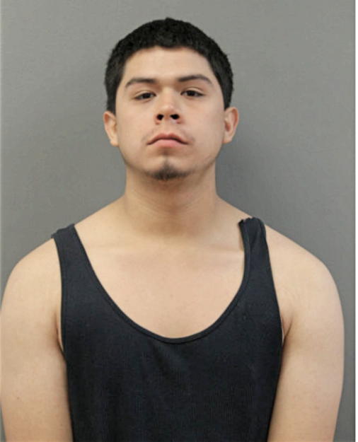JOHN MARTINEZ, Cook County, Illinois