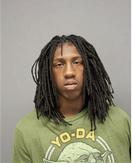 RYAN K MCCORKLE, Cook County, Illinois