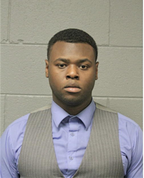 MICHAEL J MCMATH, Cook County, Illinois