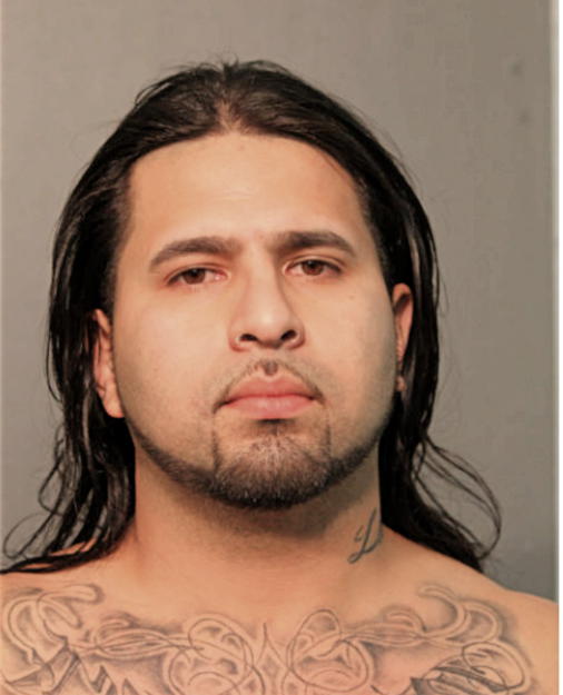 ARCHIMIDES S MORALES, Cook County, Illinois