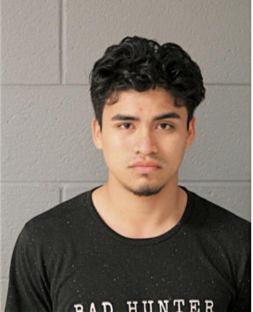 WILMAR J PEREZ, Cook County, Illinois