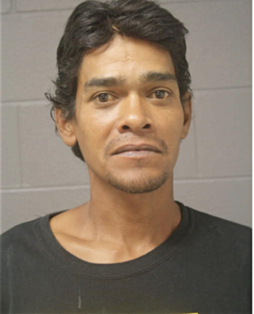 JOSE C REYES, Cook County, Illinois