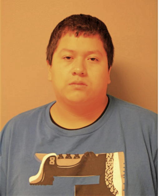 CANDIDO ROMAN JR, Cook County, Illinois