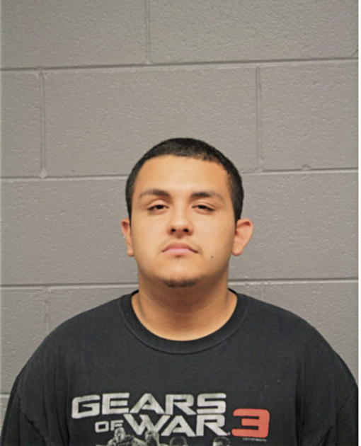 NOEL SAEZ, Cook County, Illinois