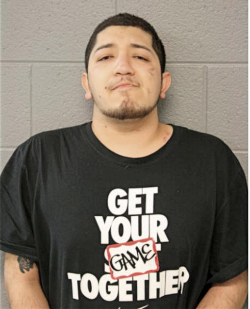 LUIS D SANCHEZ-RIVERA, Cook County, Illinois