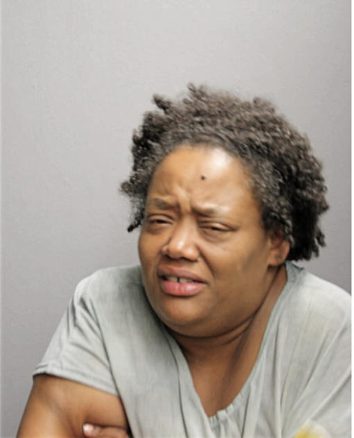 TAMARA N THOMPSON, Cook County, Illinois
