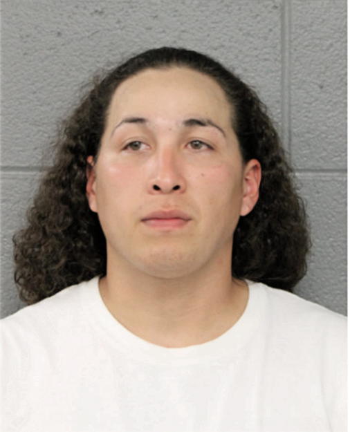 HENRY VILLANUEVA, Cook County, Illinois