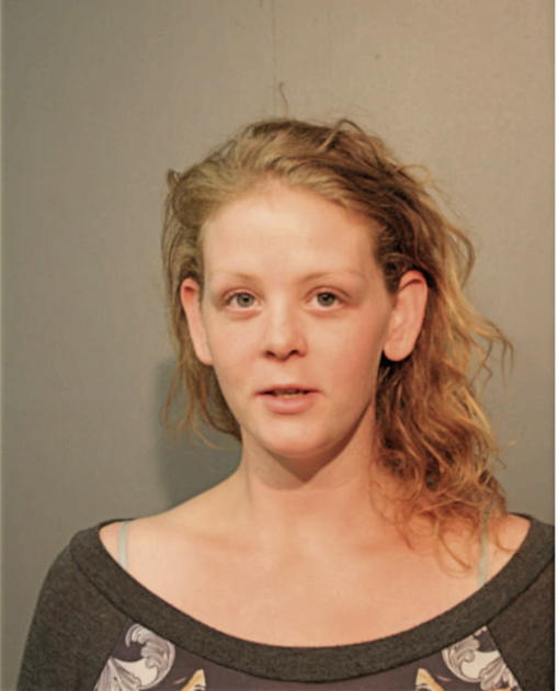 MICHELLE M VOLANT, Cook County, Illinois