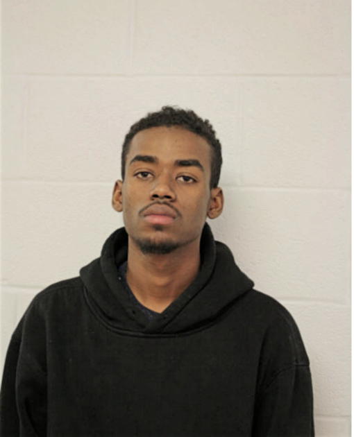 IBRAHIM ALI, Cook County, Illinois