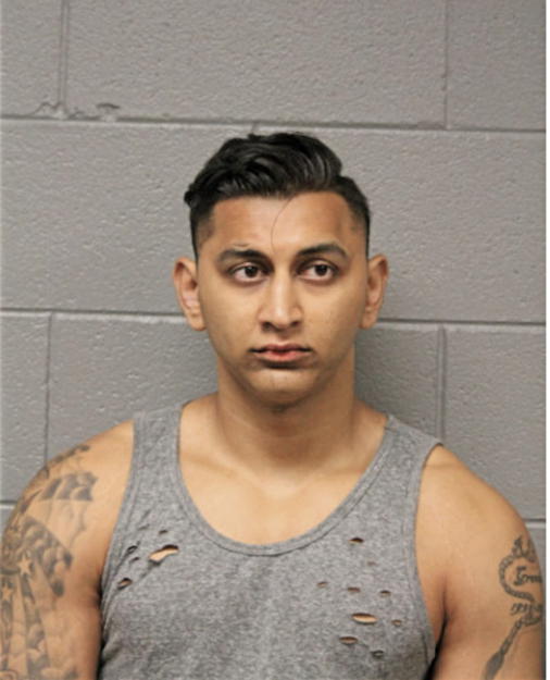 ZEESHAN ALI, Cook County, Illinois