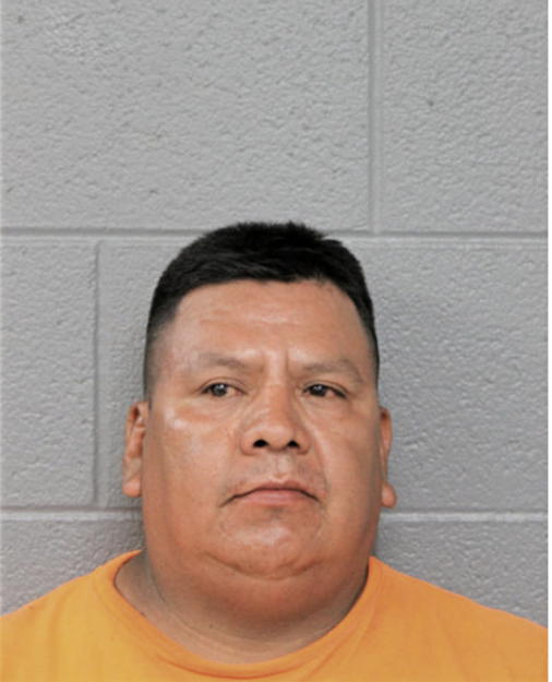 RENE D ARCOS, Cook County, Illinois