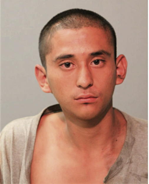 CESAR BAHENA, Cook County, Illinois